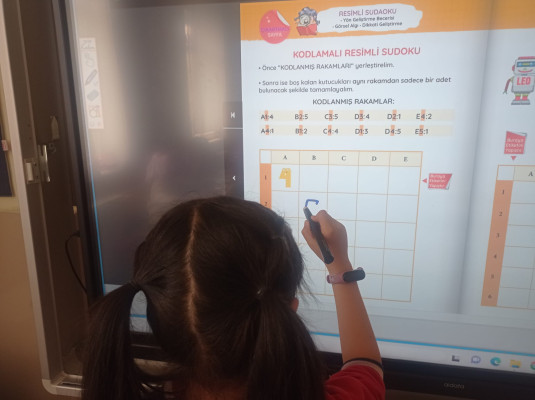 Kodlamalı Sayılarla Sudoku